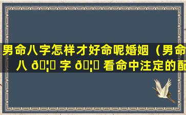 男命八字怎样才好命呢婚姻（男命八 🦉 字 🦍 看命中注定的配偶）